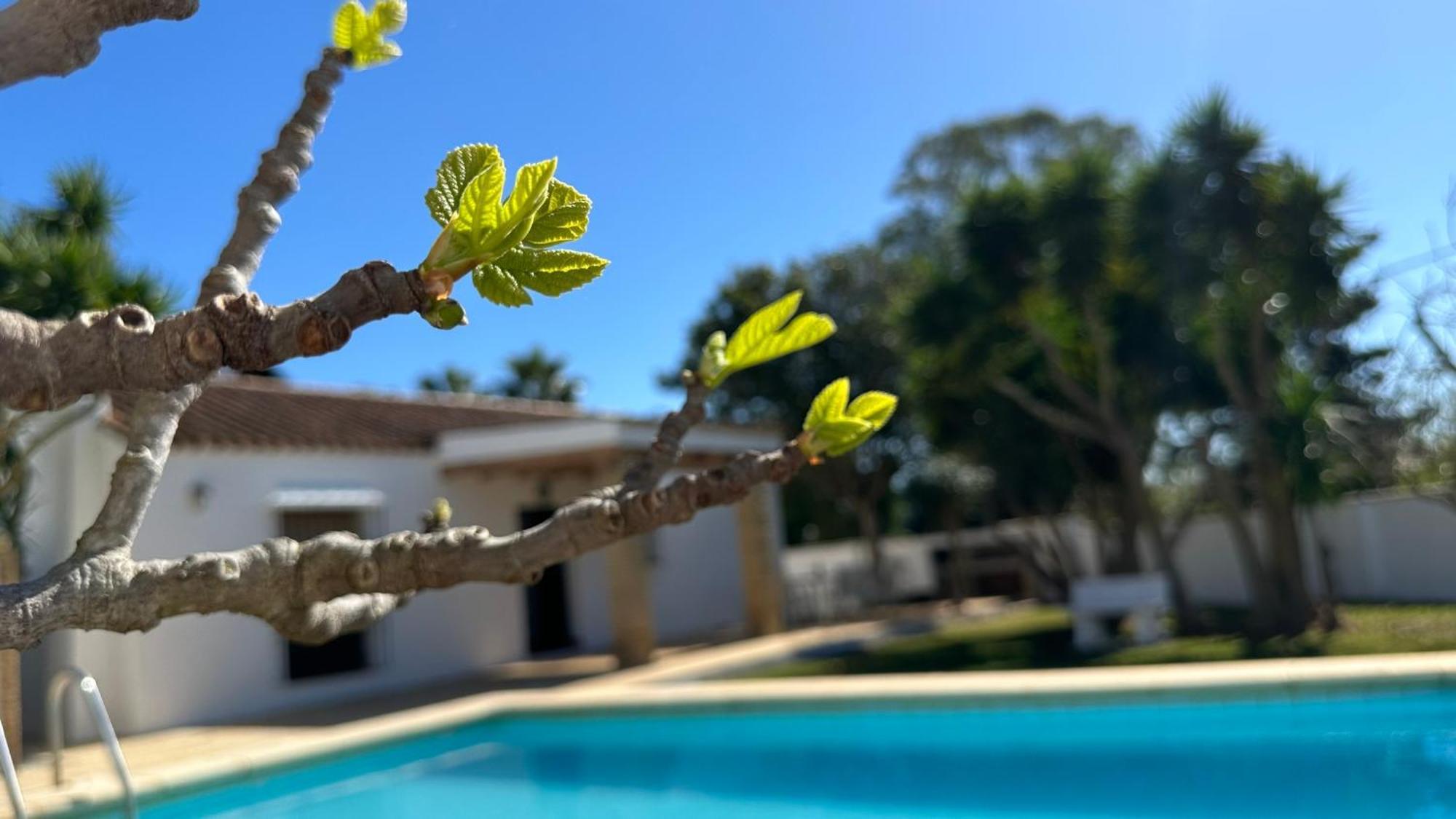 科尼尔-德拉弗龙特拉 Vivienda Rural Atlantico Sur & Familias旅馆 外观 照片