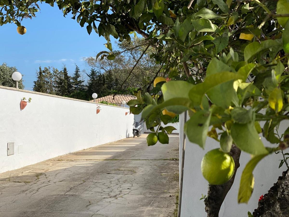 科尼尔-德拉弗龙特拉 Vivienda Rural Atlantico Sur & Familias旅馆 外观 照片